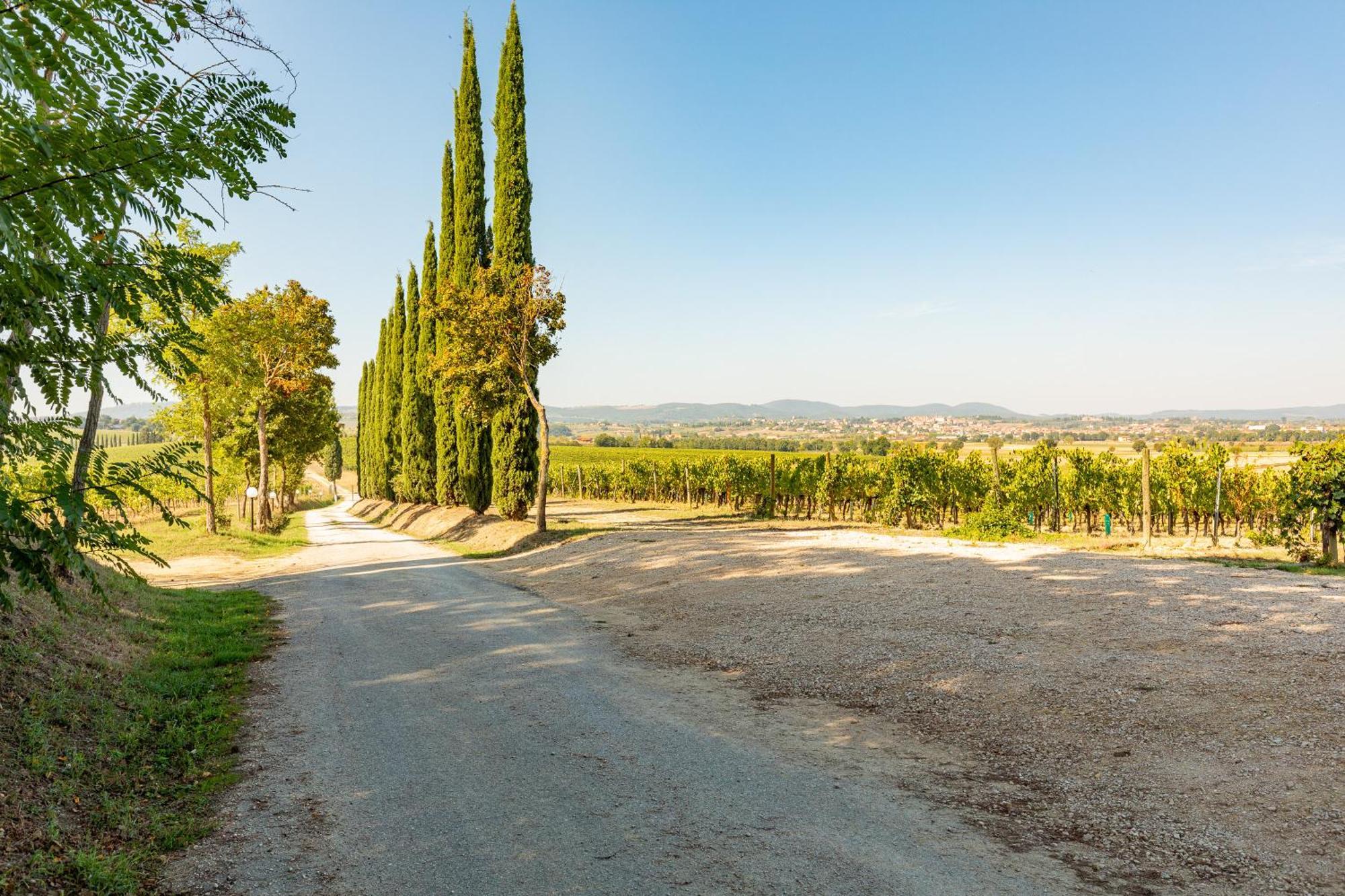 Appartamento Nobile Montepulciano Stazione Buitenkant foto